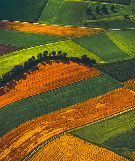 Aerial view of agricultural operation